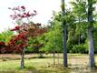 2500  Middle Sound Loop Rd , Wilmington, NC