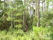9029  Ocean Harbour Golf Club Rd , Sunset Beach, NC