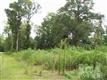 9  Brookhaven Trl , Leland, NC