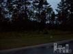 640 SE Summerhaven Ln , Bolivia, NC