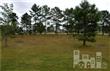 1325  Grandiflora Dr , Leland, NC