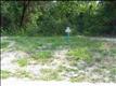209  Moss Tree Dr , Wilmington, NC