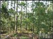 95  Canal Dr , Boiling Spring Lakes, NC