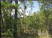 75  Canal Dr , Boiling Spring Lakes, NC
