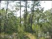 0 Boiling Spring Lake Rd #Lot 10, Boiling Spring Lakes, NC 28461