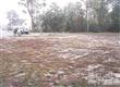 202  Moss Tree Dr , Wilmington, NC