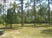 1514 SE Juniper Bay Ct , Bolivia, NC