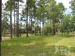 484 SE Switchgrass Ct , Bolivia, NC