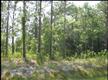 51  Nassau Pl , Boiling Spring Lakes, NC