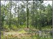 61  Nassau Pl , Boiling Spring Lakes, NC