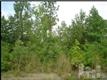 2171  Fieldcrest Rd , Southport, NC