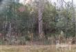 7149 NE Jennings Rd , Leland, NC