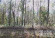 7125 NE Jennings Rd , Leland, NC