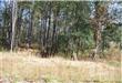7140 NE Jennings Rd , Leland, NC