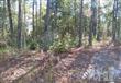 7165 NE Jennings Rd , Leland, NC