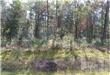 7117 NE Jennings Rd , Leland, NC