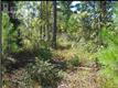 0  Otis Dr NE, Leland, NC