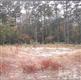 661  Jackeys Creek Ln , Leland, NC
