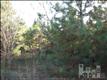 0  Otis Dr , Leland, NC