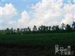 0  Dothan Rd , Tabor City, NC