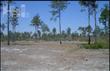 2201 SE Laurel Hill St SE, Bolivia, NC