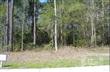788 SE Pantego Blvd , Bolivia, NC