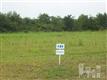 502  Boneset Park Trl , Holly Ridge (Onslow), NC