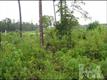 1697 W Coronado Ave SE, Bolivia, NC