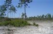1917 S Isleta Ln SE, Bolivia, NC 28422