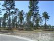 1943 SE Lucina Pl SE, Bolivia, NC