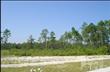 1571 W New Carraway Pl SE, Bolivia, NC