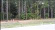 0  Aster Pl , Hampstead, NC