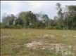 179  Everett Park Trl , Holly Ridge (Onslow), NC