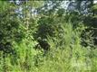 0  Otis Dr , Leland, NC