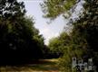 8901 Woodcreek Cir, Wilmington, NC 28411