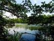 939  Saltwood Ln 