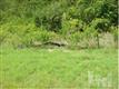 504  Boneset Park Trl , Holly Ridge (Onslow), NC