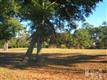 9251  Devaun Pointe Cir SW, Calabash, NC
