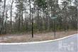 10231  Morecamble Blvd SE, Leland, NC