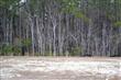 1013  Dowling Ct , Leland, NC