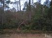 0  Goldsboro Rd , Boiling Spring Lakes, NC