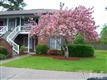 4190  Spirea Dr , Wilmington, NC