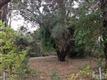 160  Middle Sound Loop Rd , Wilmington, NC