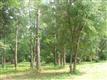 154  Cotherstone Ct , Hampstead, NC