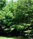 8820  Fazio Dr , Wilmington, NC