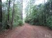 36 Black River Ln, Harrells, NC 28444