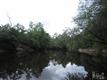 36 Black River Ln, Harrells, NC 28444
