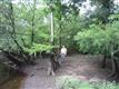 36 Black River Ln, Harrells, NC 28444