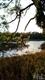 806 Cedar Ramble Ln, Wilmington, NC 28411