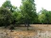 2500 Middle Sound Loop, Wilmington, NC 28411